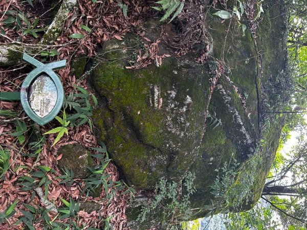 內湖鯉魚山之旅2811727