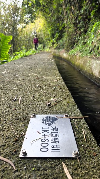 即將春季的百花齊放鵝尾山串行古圳道及平菁街42巷賞櫻健行O型走2988702