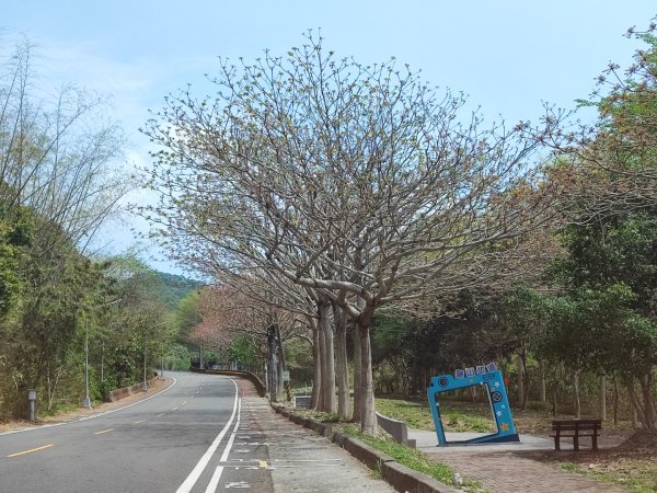 藤山步道-(彰化)臺灣百大必訪步道2471099