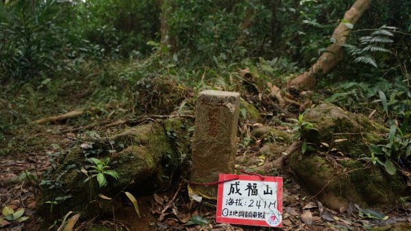 三峽(長壽山)→土城(天上山) 縱走1233165