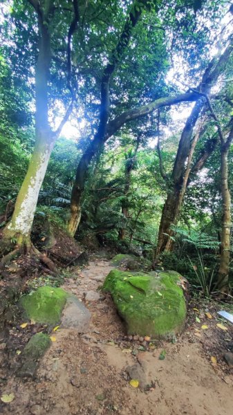 連走溪洲山石門山2582960