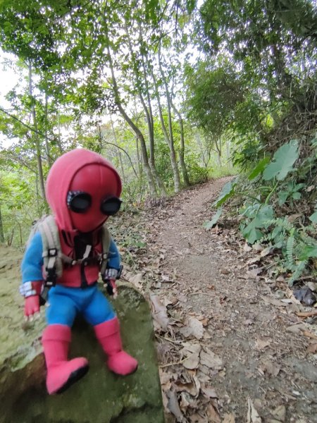 2023.11.30 九份二山2677672