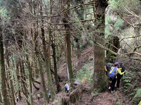 20250517義義兒玉山-東水山2791705