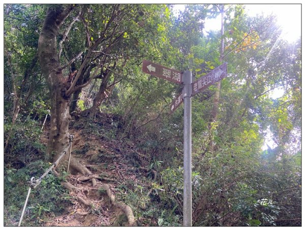 金龍湖、鷹石尖、老鷲尖、內溝山 O型一圈2966648