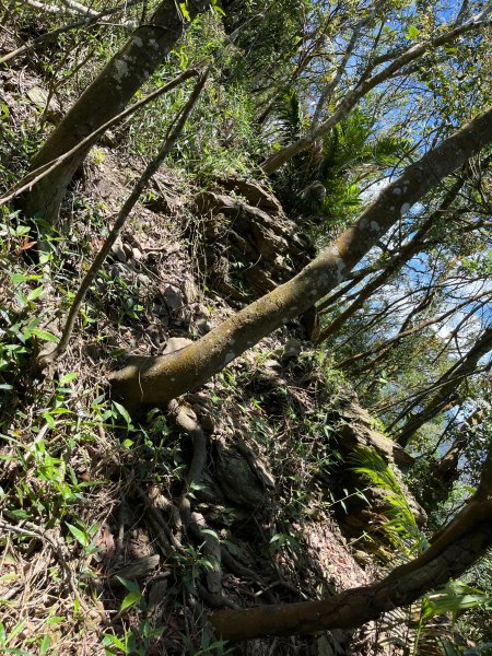 戶亞宇山基點峰-戶亞宇山主峰 2025.6.152815049