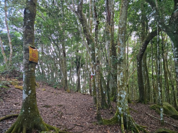 水雲三星～上島山（鳥嘴山）2931250
