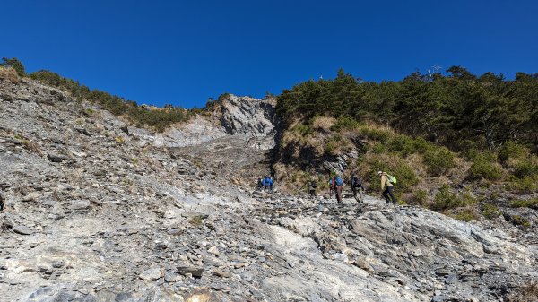 關山嶺山步道2436151