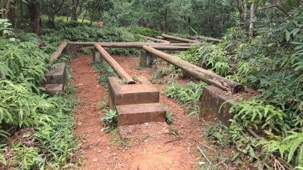 (4/10)蓮華山古道群：飛龍步道，進香步道，採茶古道，載熙古道2247357