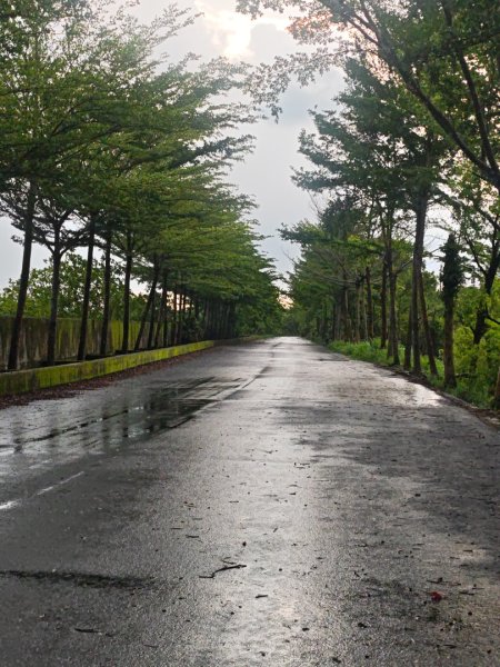 白河店仔口景觀公園2877457