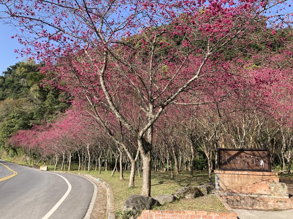 台灣小百岳No.085三星山909823