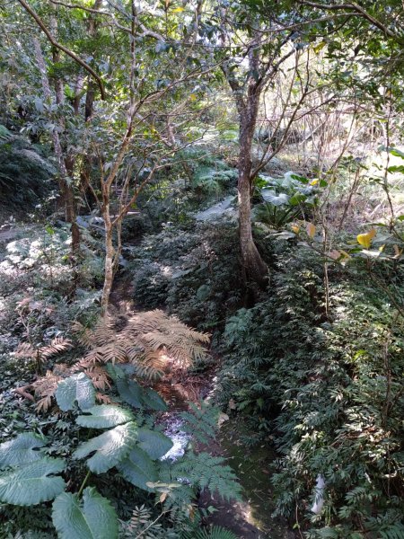 【臺北大縱走第六段】中華科大至麟光站完成1254973