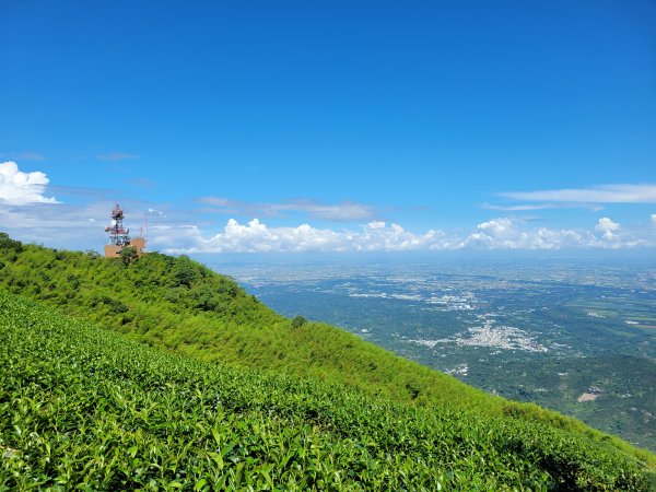 【雲嘉抺茶山】1735893