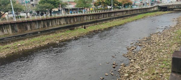 桃園老街溪2928635