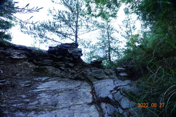 花蓮 秀林 畢祿山 (高遶-進；崩塌-出)1823034