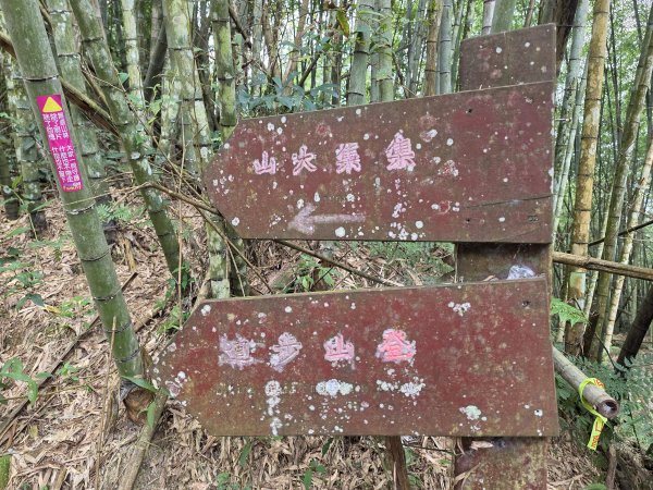 小百岳No.50⛰集集大山3120454