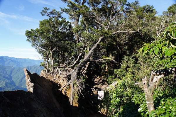 新竹 尖石 內鳥嘴山2899165