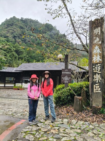 明池森林遊樂區202511152936659