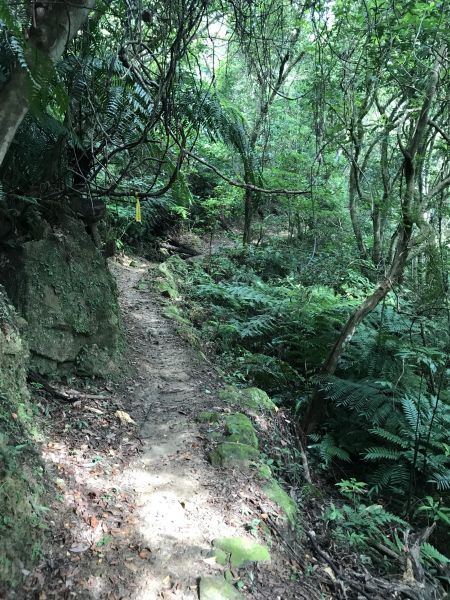 汐止友蚋山、新山夢湖大冒險 (含gpx檔) 2018-08