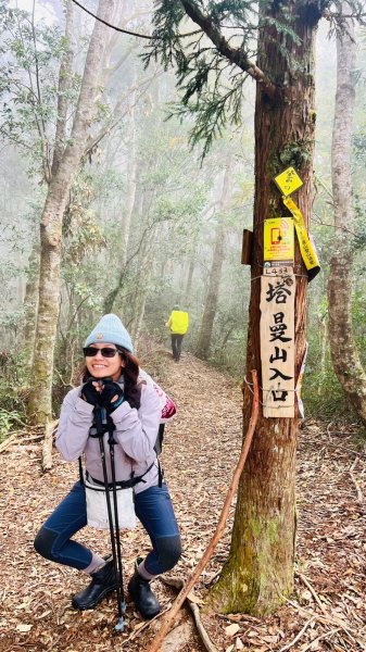 🌈12/18（三）魔法森林-塔曼山~網美打卡-巴陵鐵塔🌈2671869