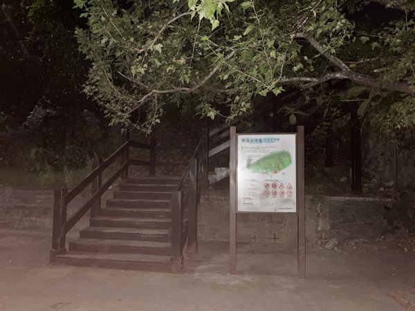 [漫遊縱谷 愛在花東-06/10] 2025_1011 台東鯉魚山步道2913365