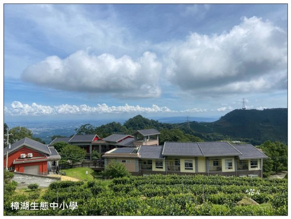 後棟仔山 O型路線2833439