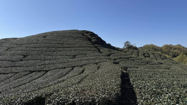 20250124小百岳 梨仔腳山及大尖山2703370