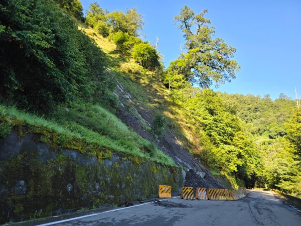 雪主東下翠池O繞水源路／巧遇雪主登頂神獸～長鬃山羊～2632194