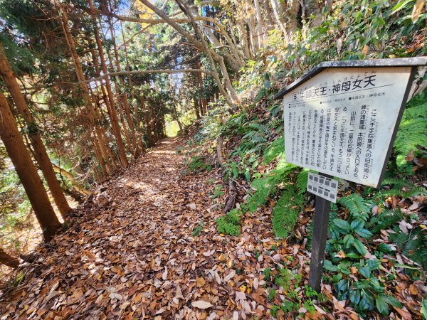 20251123秘境車站峠駅與垂水遺跡2957782