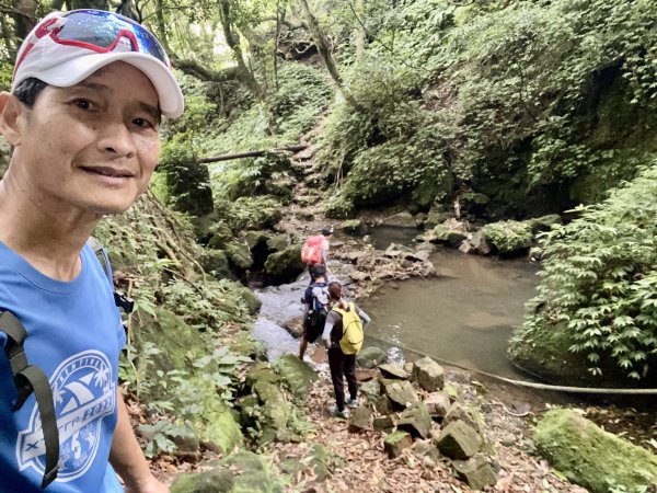 《陽明山的山林片刻｜沿著青春嶺路走向山野的綠意》2939240