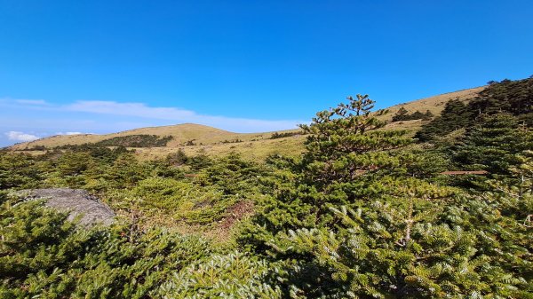 濟州島漢拏山-御里牧路線下2942699