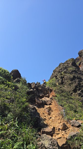20260426 新北金瓜石半屏山無耳茶壺山3050539