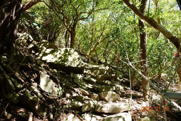 屏東 獅子鄉 里龍山(里隆山、里瀧山、鯉龍山)、下里龍山2018470