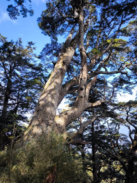 2026-02-09 庫哈諾辛山2999009