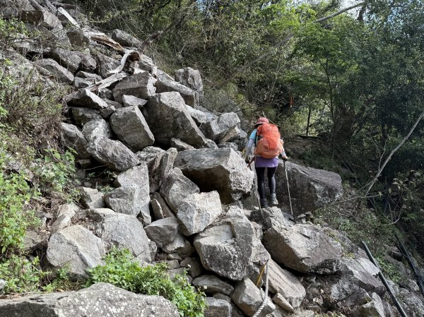 屋東縱走 202503012728983