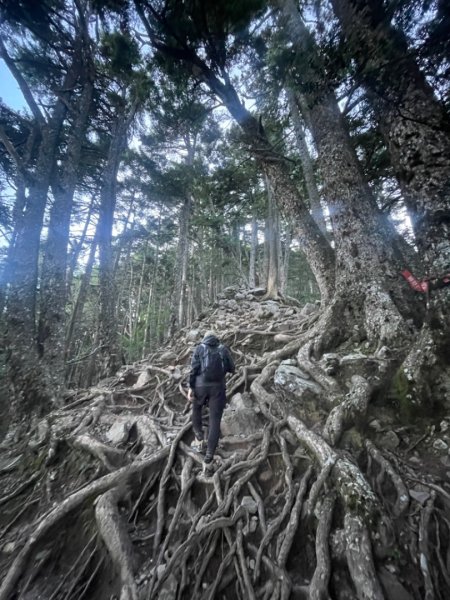 一日 南湖大山 2024 07/142552683