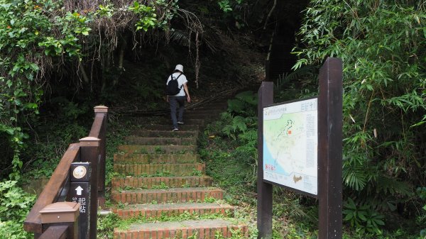 《台中》后里泰安登山步道20200614996835