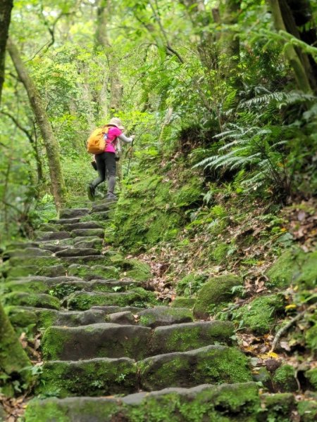 探索凱達格蘭遺址-202404142600568