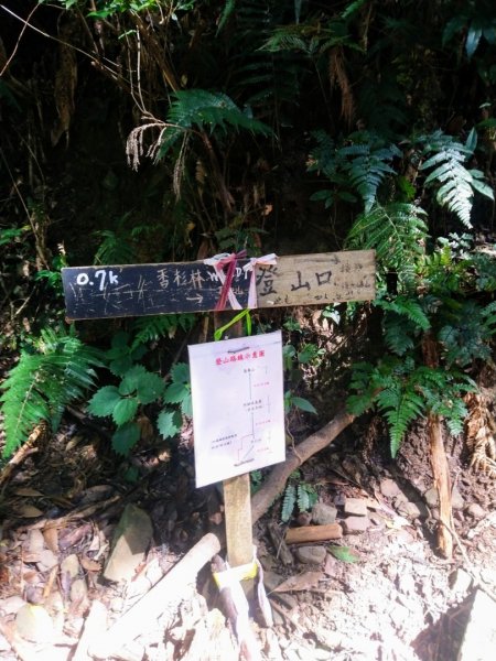 鳶嘴西稜O走（大崠山、長壽山、鳶嘴山）1073449