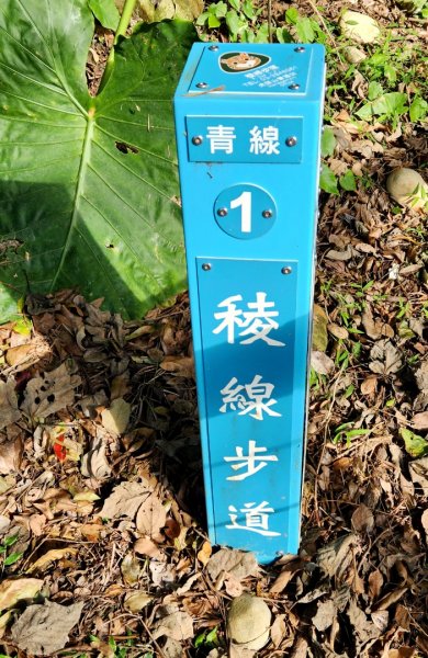 內湖金面山，論劍山，鶯歌蛋山，忠義山，長壽步道，桃園虎頭山公園1990173