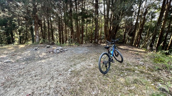 裡冷林道上八仙山標準路線2051834