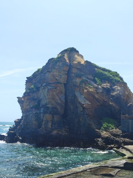 國聖涼亭-百合草原-野柳-駱駝峰-萬里橋頭3057437