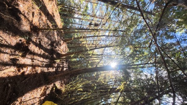 馬武霸下武陵2962326