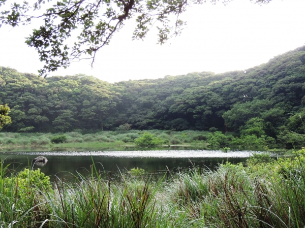 向天池(向天山)雜記25229