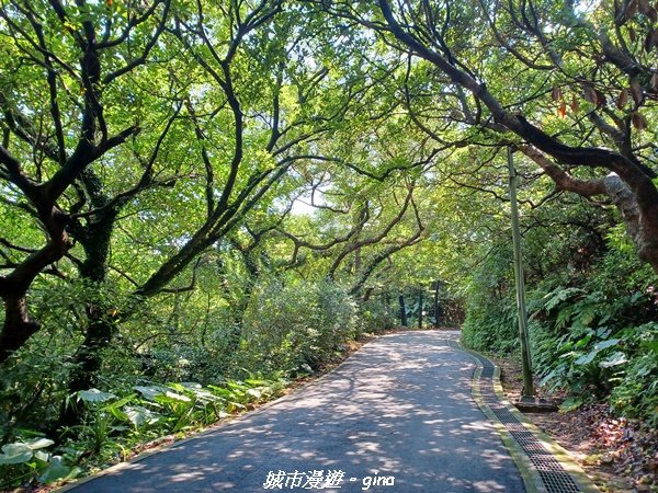 【新北金山】三面臨海視野佳。 獅頭山公園步道x神秘海灘x燭臺雙嶼2818731