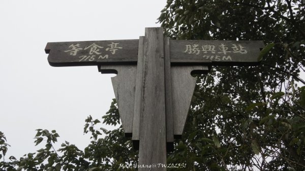 《苗栗》台鐵舊山線｜三義勝興鐵道覓境及挑柴古道O繞202501192693579