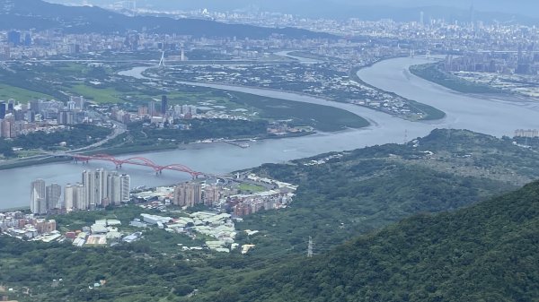 2024觀音觀鷹全7線| Mt. Guanyin |皇蛾|峯花雪月2504739