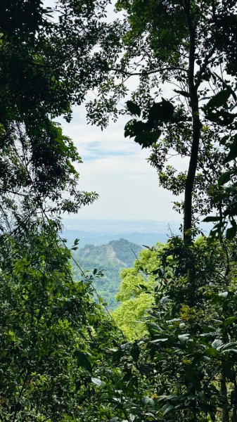 1140419鳴鳳古道2765875