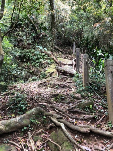 嘉南雲峰（北側步道入口）石壁山、好望角316157