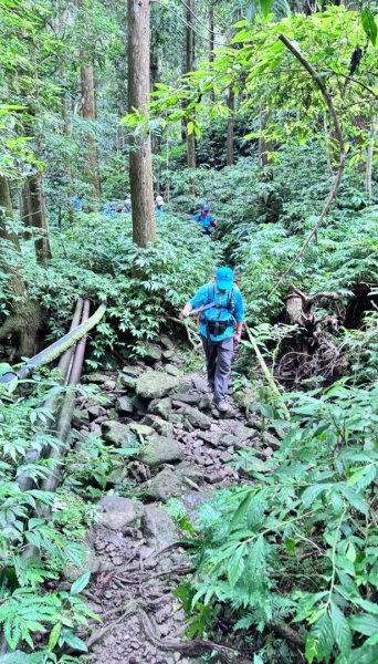 光天高山 - 向天湖山(小百岳32) 小O一圈2876928