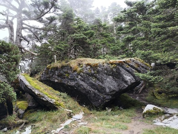 北一段(06/14)巴巴山 2025_0906~132886710